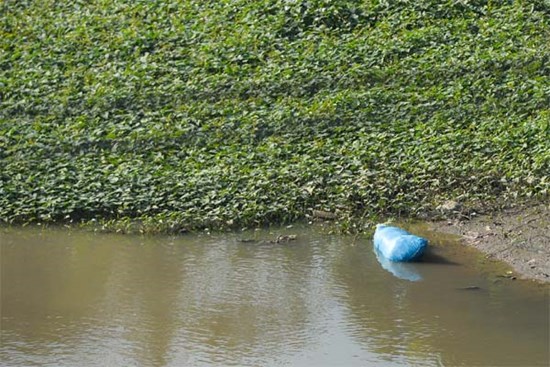 Hiện trường vụ 3 bố con tử vong trên sông Bắc Hưng Hải ở Hưng Yên