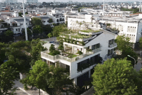 Vợ chồng U70 làm khu vườn bậc thang 300m2 trên mái căn biệt thự tại Hà Nội