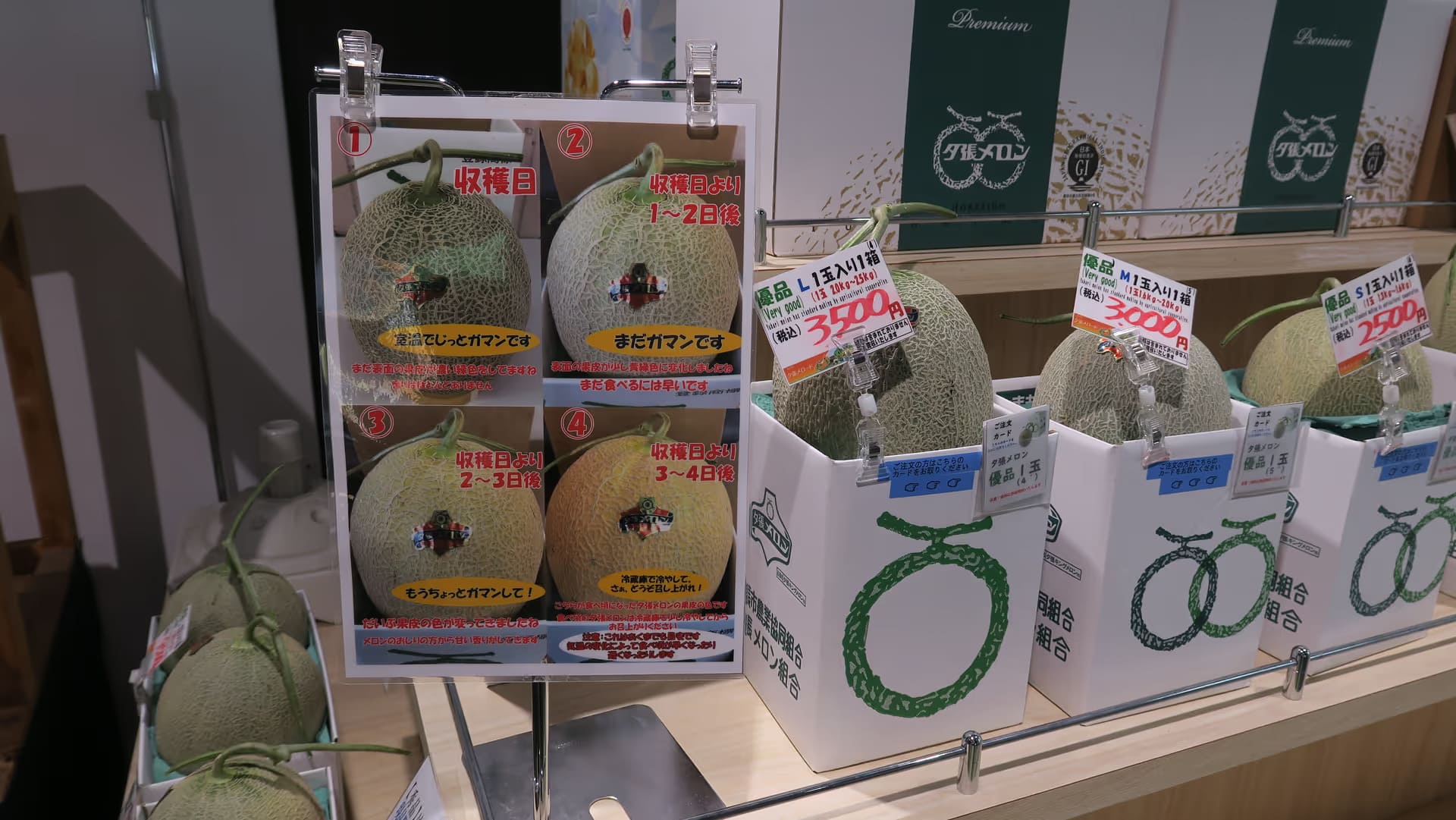 Một loại dưa trở thành cứu tinh cho khoản nợ nghìn tỷ của cả thành phố-1