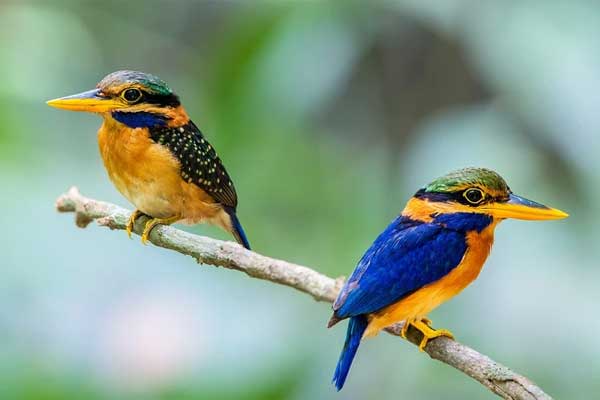 Tin tức trực tuyến
