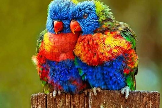 Tháng 11 Âm lịch, 4 con giáp tràn đầy cơ hội và hy vọng, kiếm tiền tích cực, cuộc sống sung túc