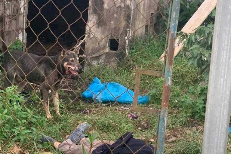Nữ công nhân ở Hà Tĩnh tử vong do bị chó tấn công-1