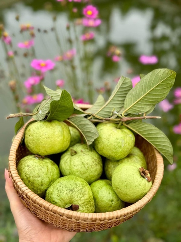 Khu vườn ngập hoa trái trong cơ ngơi ‘đi mỏi chân không hết’ của Mỹ Tâm-8