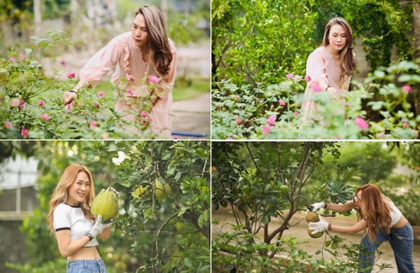 Khu vườn ngập hoa trái trong cơ ngơi ‘đi mỏi chân không hết’ của Mỹ Tâm-16