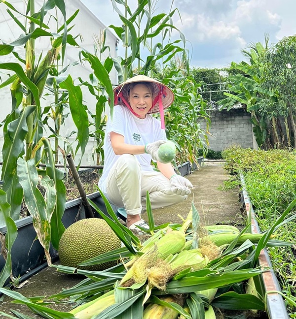Khu vườn ngập hoa trái trong cơ ngơi ‘đi mỏi chân không hết’ của Mỹ Tâm-18
