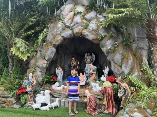 Biệt thự 60 tỷ của Đàm Vĩnh Hưng có gì mà khiến dân tình đổ xô check-in?-15