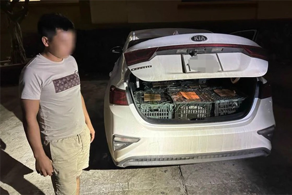 Ô tô 7 chỗ va chạm xe tải: Cạy cửa cứu nhiều người, 1 bé gái tử vong-4