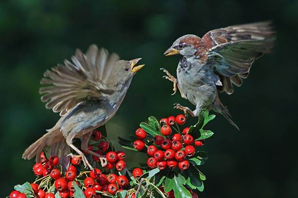 Vào mùa xuân 2024, 4 con giáp xoay chuyển tình thế, thành công rực rỡ, tình yêu viên mãn-3