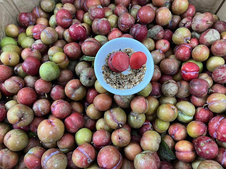 Loại quả rừng trái mùa giá gần nửa triệu đồng/kg vẫn được chị em lùng mua từng quả-1