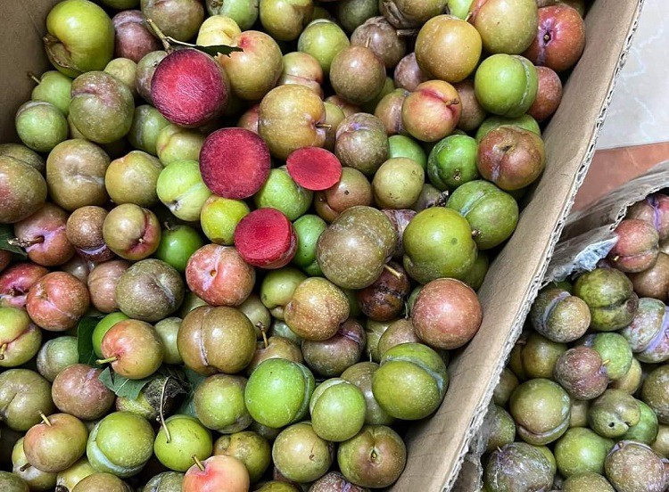 Loại quả rừng trái mùa giá gần nửa triệu đồng/kg vẫn được chị em lùng mua từng quả-3