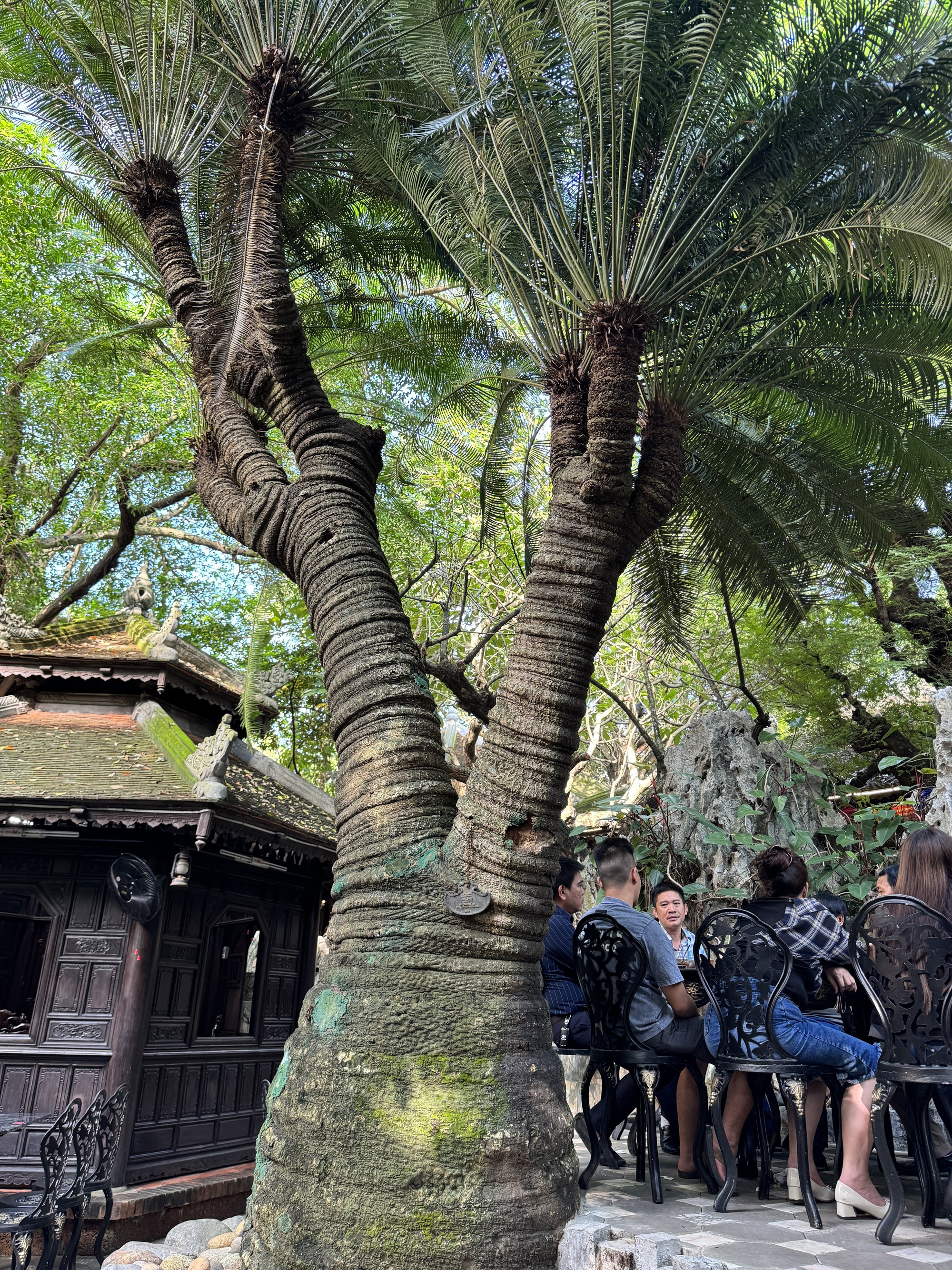 Bên trong nhà cổ trăm tỉ của đại gia Huy máy nổvừa bị siết nợ có gì?-12