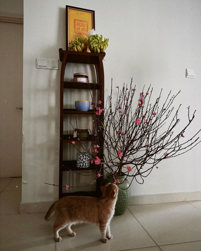 Soi căn hộ ở Hà Nội của Phương Ly: Thiết kế mộc mạc và truyền thống, trái ngược với tính cách của nữ chủ nhân-7