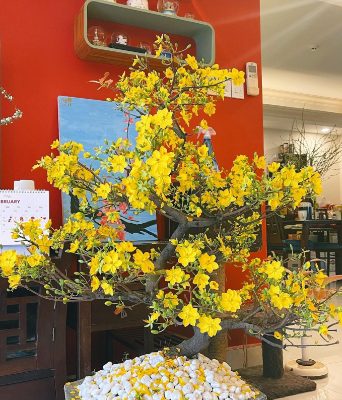 Soi căn hộ ở Hà Nội của Phương Ly: Thiết kế mộc mạc và truyền thống, trái ngược với tính cách của nữ chủ nhân-12