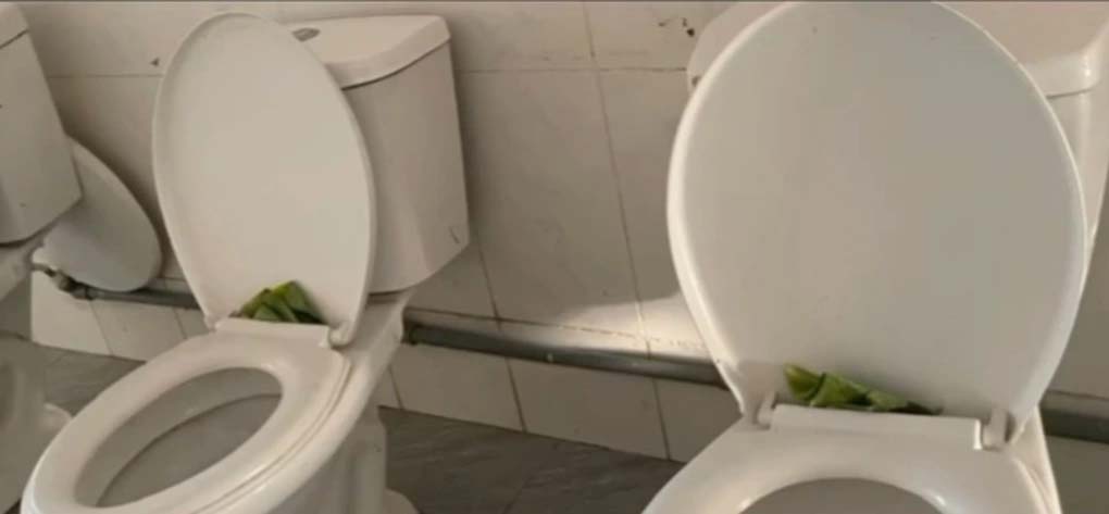 Lãnh đạo Sở GD&ĐT Lào Cai: Học sinh ăn cơm chan canh mỳ tôm là có thật-3