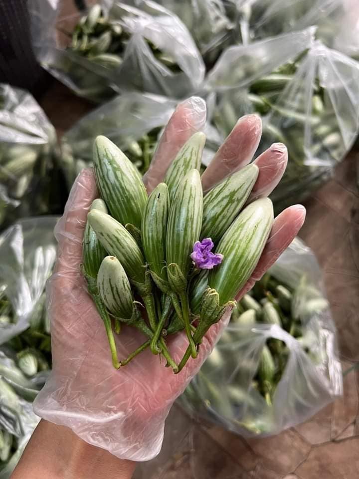 Loại cà lạ” lên cơn sốt, dân buôn liên tục báo cháy” hàng-1