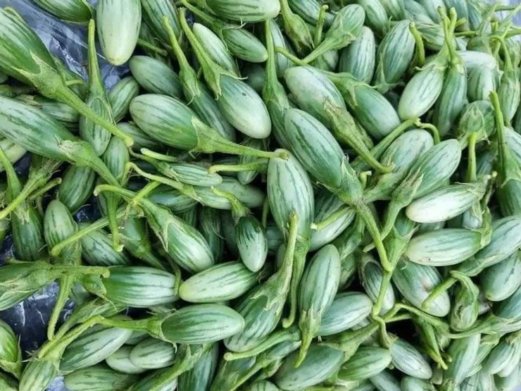 Loại cà lạ” lên cơn sốt, dân buôn liên tục báo cháy” hàng-2