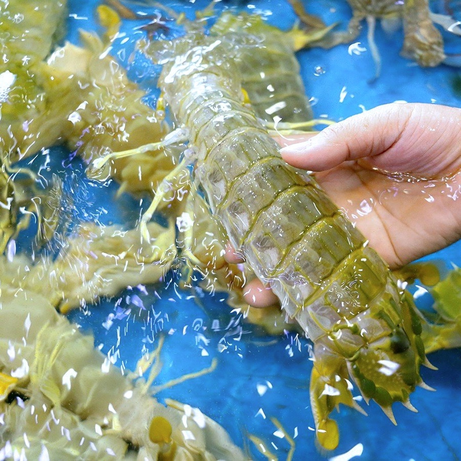 4 chỗ cần xem ngay khi mua bề bề, chọn nhầm có thể mua phải vỏ rỗng-2