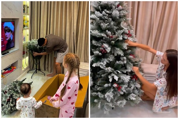 Biệt thự của cựu người mẫu Thúy Hạnh lung linh đón Noel-23