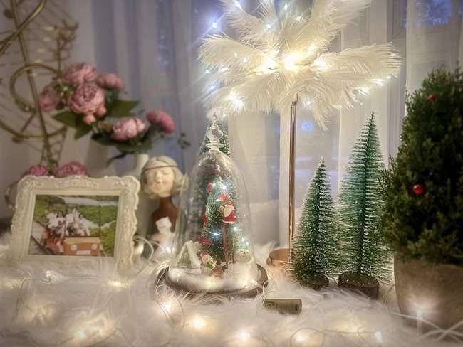 Biệt thự của cựu người mẫu Thúy Hạnh lung linh đón Noel-5
