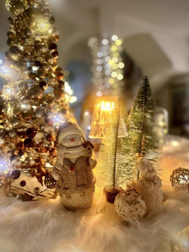 Biệt thự của cựu người mẫu Thúy Hạnh lung linh đón Noel-8