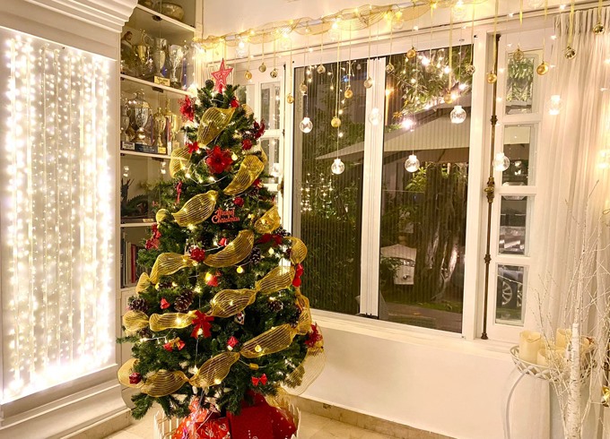 Biệt thự của cựu người mẫu Thúy Hạnh lung linh đón Noel-16