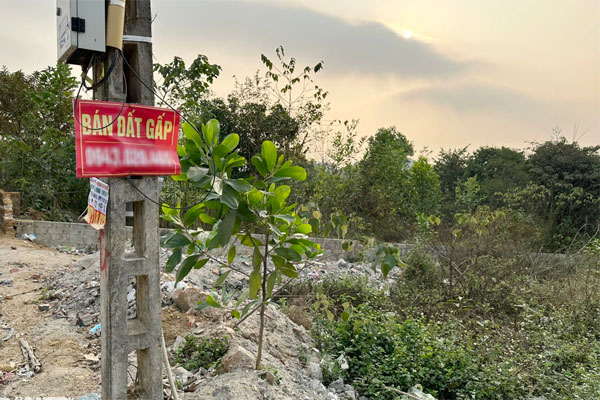 Đất nền lô to ven đô để cỏ mọc, rao cắt lỗ 50% vẫn khó bán-2