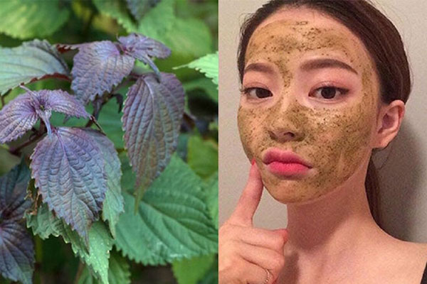 Nâng tầm bữa ăn với một loại rau thơm quen thuộc: Đẩy lùi bệnh tật, ngừa ngộ độc và kéo dài tuổi trẻ-4