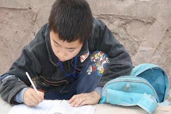 Bài kiểm tra Ngữ Văn khiến giáo viên áp lực”, nhưng dân tình tranh cãi 1 chi tiết: Cóc hay cáo mới đúng?-2