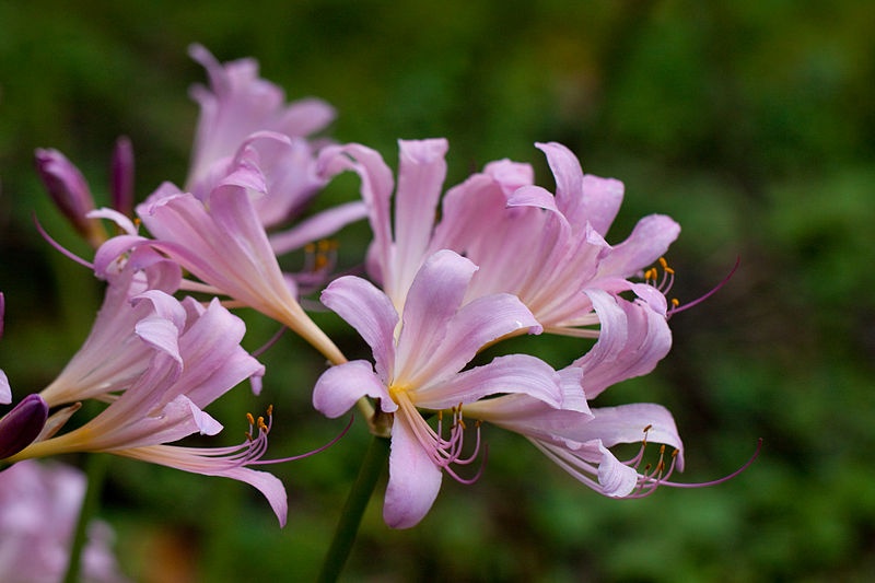 Tử vi ngày 21/12/2023: Tuổi Sửu cần giữ khiêm tốn, tuổi Tỵ thu về lợi nhuận-3