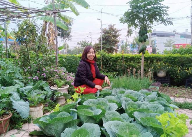 Cô giáo Bắc Giang làm vườn cực mát tay, trồng rau rau xanh mướt, trồng hoa hoa khoe sắc-1
