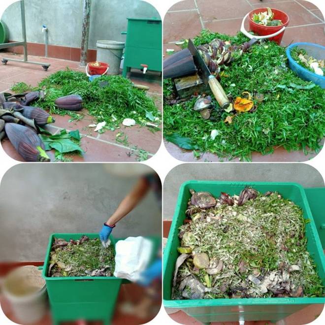 Cô giáo Bắc Giang làm vườn cực mát tay, trồng rau rau xanh mướt, trồng hoa hoa khoe sắc-15