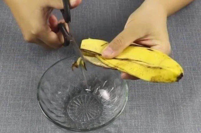 Ăn chuối xong đừng bỏ vỏ, đem cắt nhỏ rồi đặt ở góc phòng, sau một đêm điều kỳ diệu sẽ xảy ra-1