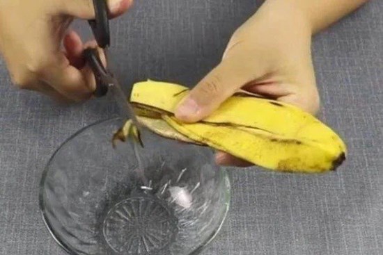 Ăn chuối xong đừng bỏ vỏ, đem cắt nhỏ rồi đặt ở góc phòng, sau một đêm điều kỳ diệu sẽ xảy ra