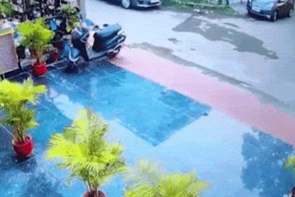 Clip: Đang chơi trước nhà, bé trai bị đàn chó hoang lao vào tấn công-1