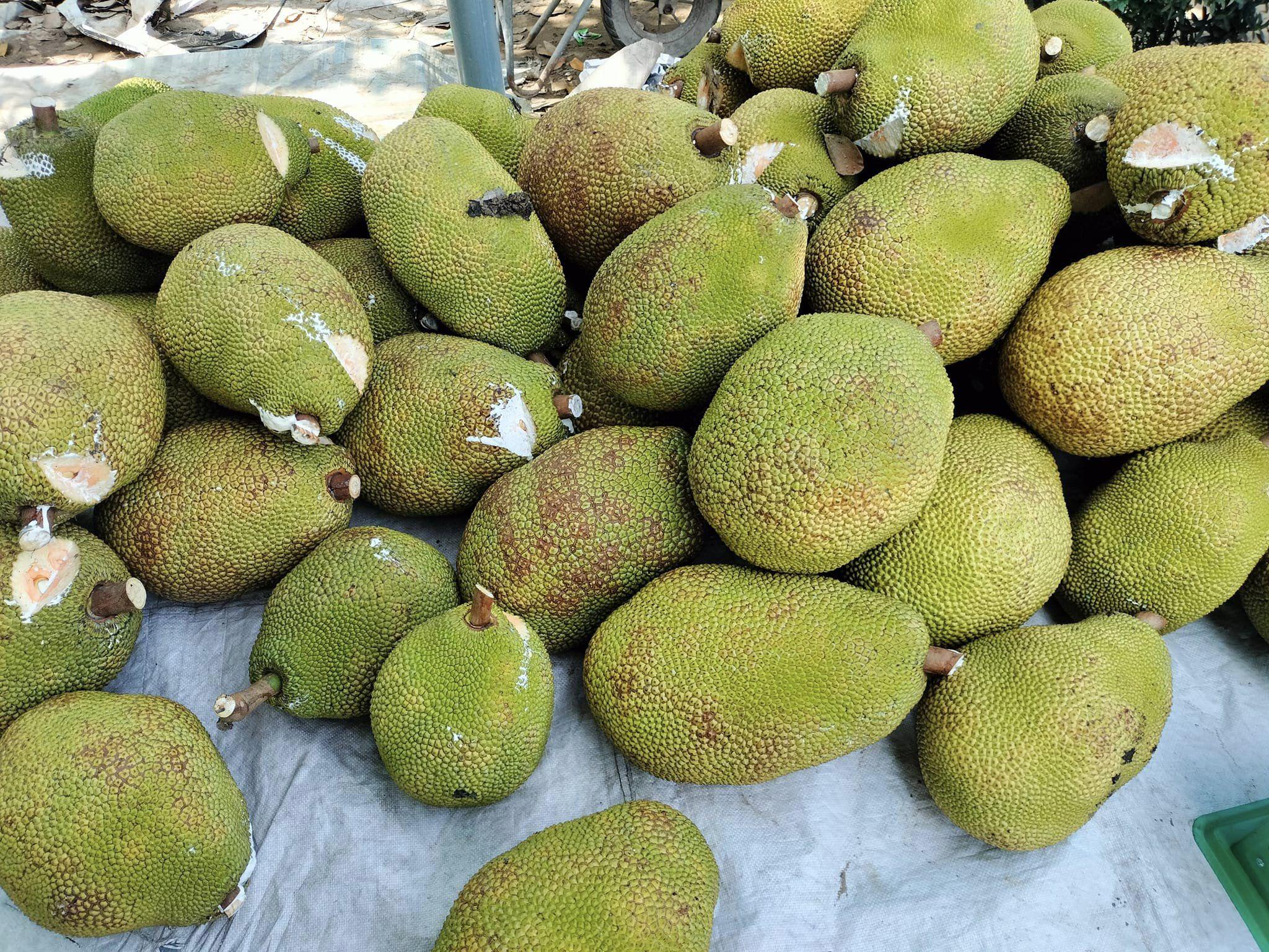 Giá mít ruột đỏ bất ngờ giảm sâu, có loại chỉ còn 15.000 đồng/kg-1