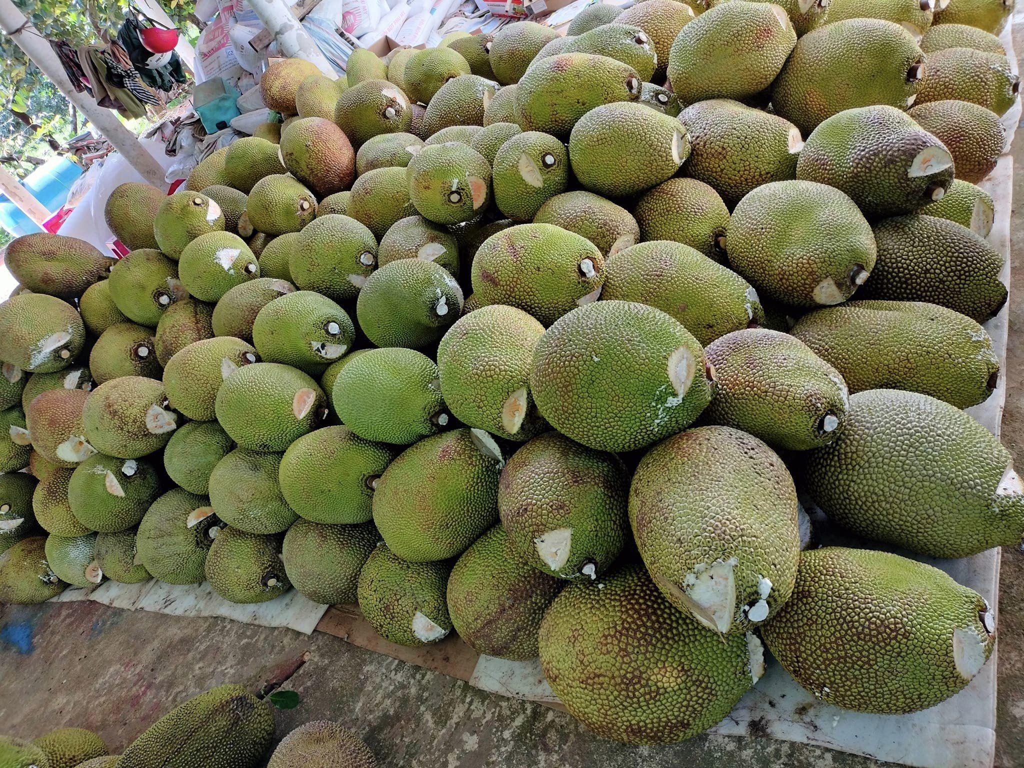 Giá mít ruột đỏ bất ngờ giảm sâu, có loại chỉ còn 15.000 đồng/kg-2