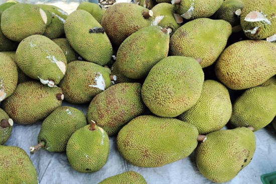 Giá mít ruột đỏ bất ngờ giảm sâu, có loại chỉ còn 15.000 đồng/kg