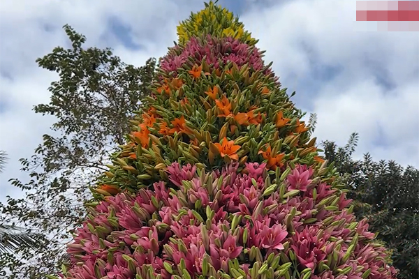 Cận cảnh cây thông Noel khổng lồ làm từ 3000 chai nhựa ở Hà Nội-1