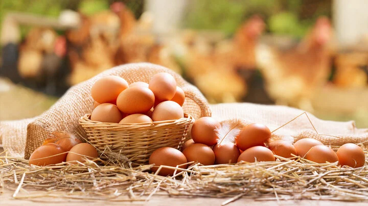Khi mua trứng nên chọn quả to hay quả nhỏ?-3