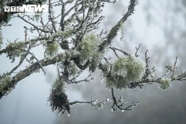 Dự báo thời tiết ngày 24/12: Miền Bắc rét đậm rét hại, có nơi dưới 2 độ C-1