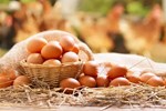 Ăn trứng chớ dại kết hợp cùng những thực phẩm này kẻo hại sức khỏe-5
