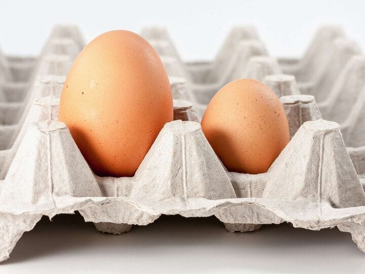 Khi mua trứng nên chọn trứng to hay nhỏ?-1
