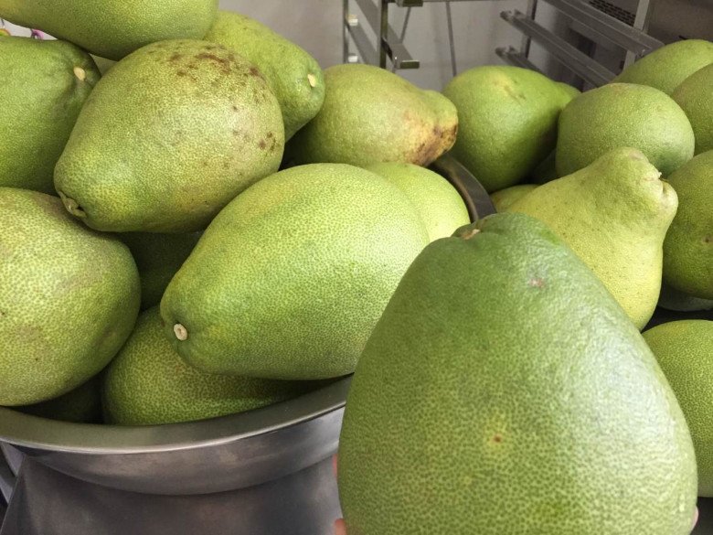 Người thông minh sẽ đặt vỏ bưởi ở 5 vị trí này trong nhà, lợi đủ đường-1