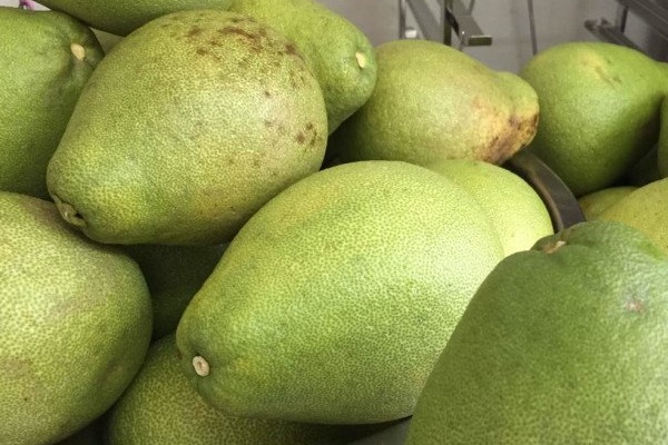 Ăn bưởi đừng vội vứt vỏ, hãy tận dụng để làm sạch bồn rửa và khử mùi hôi cống thoát nước trong bếp-4