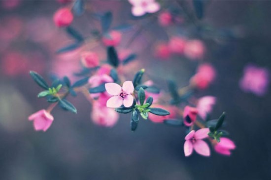 Tử vi tuần mới 25/12 - 31/12/2023: Tuổi Sửu khó tránh áp lực, tuổi Tỵ nhiều điều kiện tốt