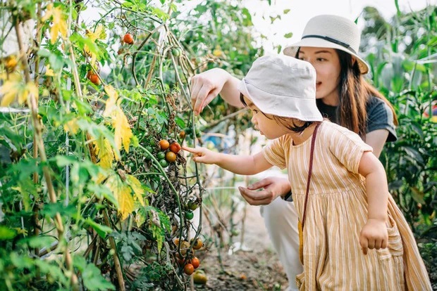 Tai hại luật đuổi rắn trong mỗi gia đình: Con cái lớn lên kém cỏi vì cha mẹ có 3 HÀNH VI-3