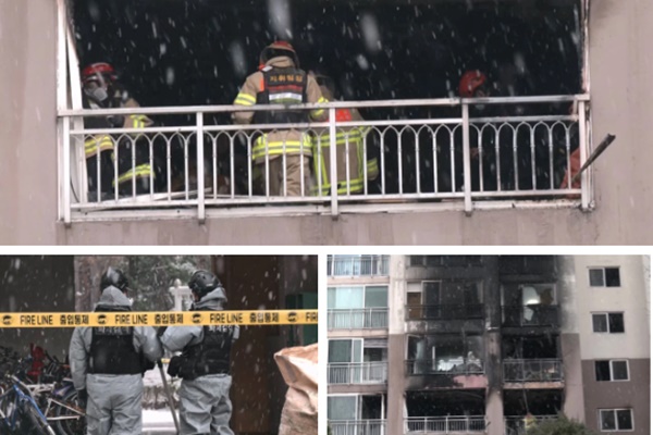 Nhặt đồ Giáng sinh trong thùng rác, cô gái tiết kiệm được 500 triệu đồng-8