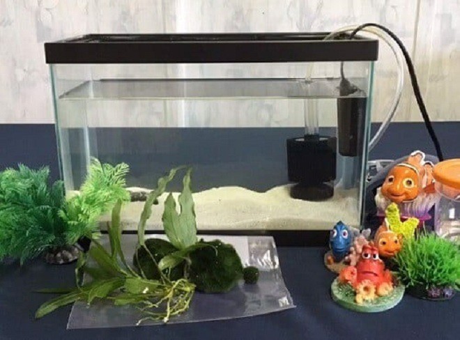 Trong nhà có 5 thứ phải đổ đầy, để vơi dễ làm mất lòng Thần Tài, chẳng trách làm mãi không thấy giàu-3