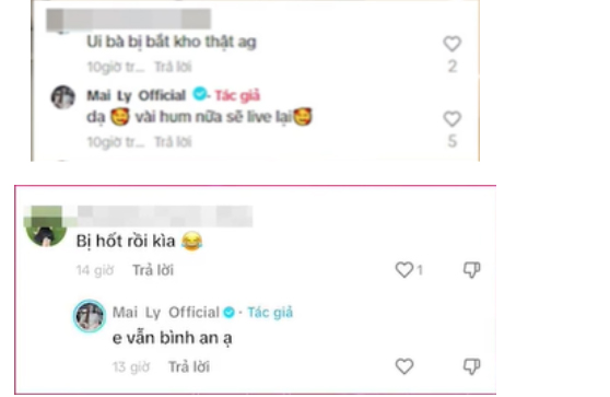 Kho hàng livestream chốt nghìn đơn mỗi phiên bị điều tra, hot TikToker Mailystyle nói gì?-3