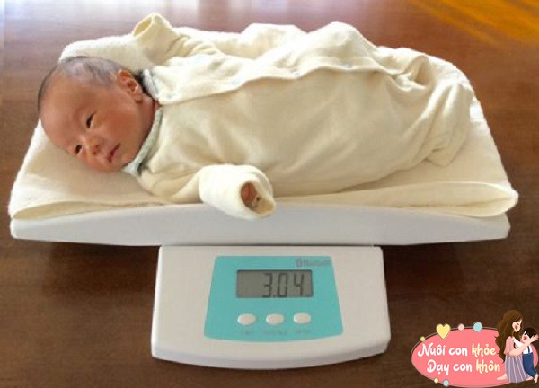 Cân nặng của trẻ khi sinh có liên quan tới IQ? BS nói 5 cách để con thông minh mỗi ngày-2